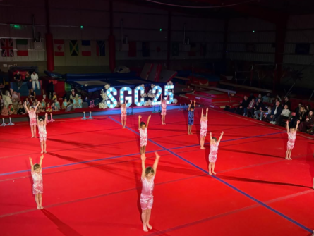 Performance gymnasts