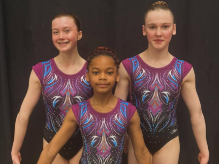 Three Acrobatic Gymnasts