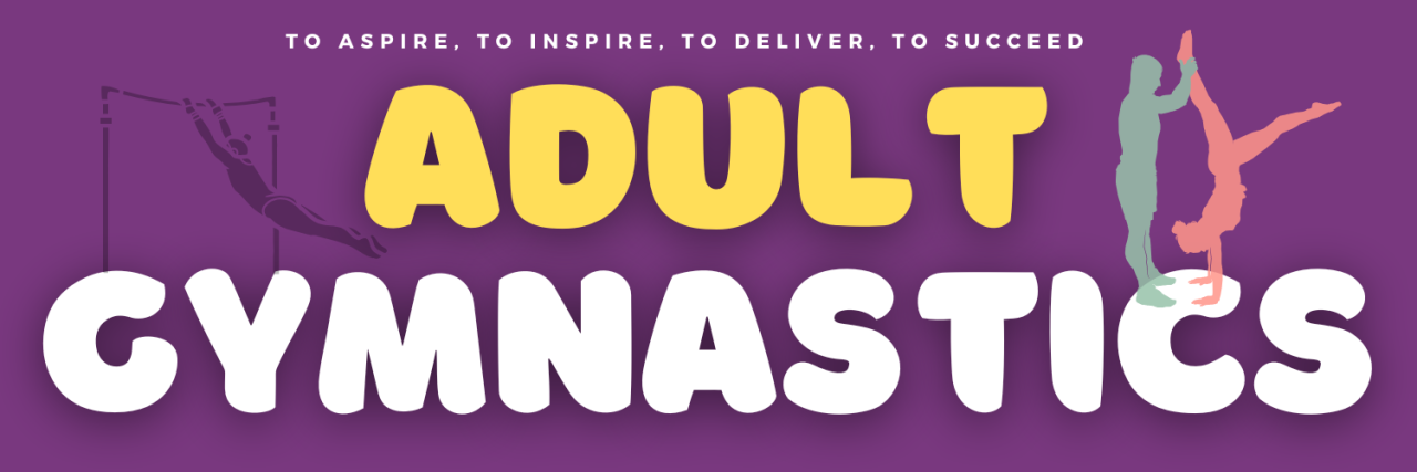 adult gym 