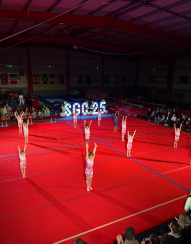 Performance gymnasts