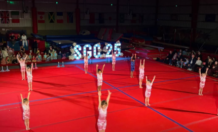 Performance gymnasts