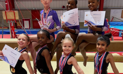 wag gymnasts